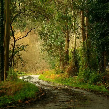 Os Tres Teixos * San Acisclo