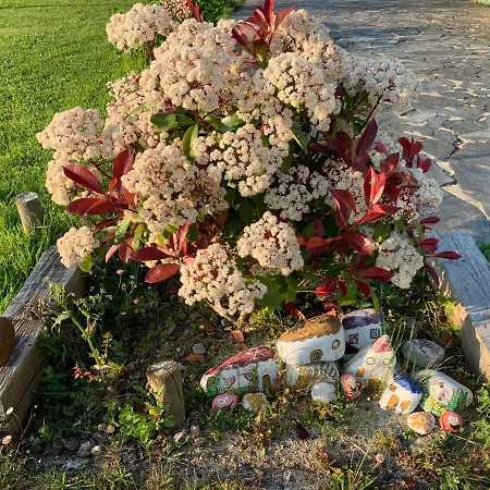 Os Tres Teixos * San Acisclo