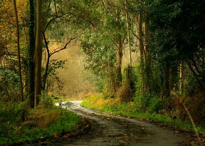 Os Tres Teixos * San Acisclo