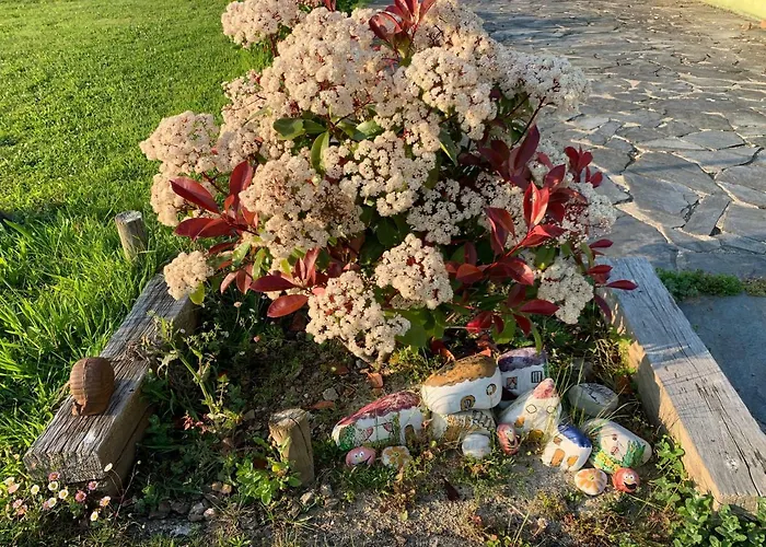 Os Tres Teixos * San Acisclo